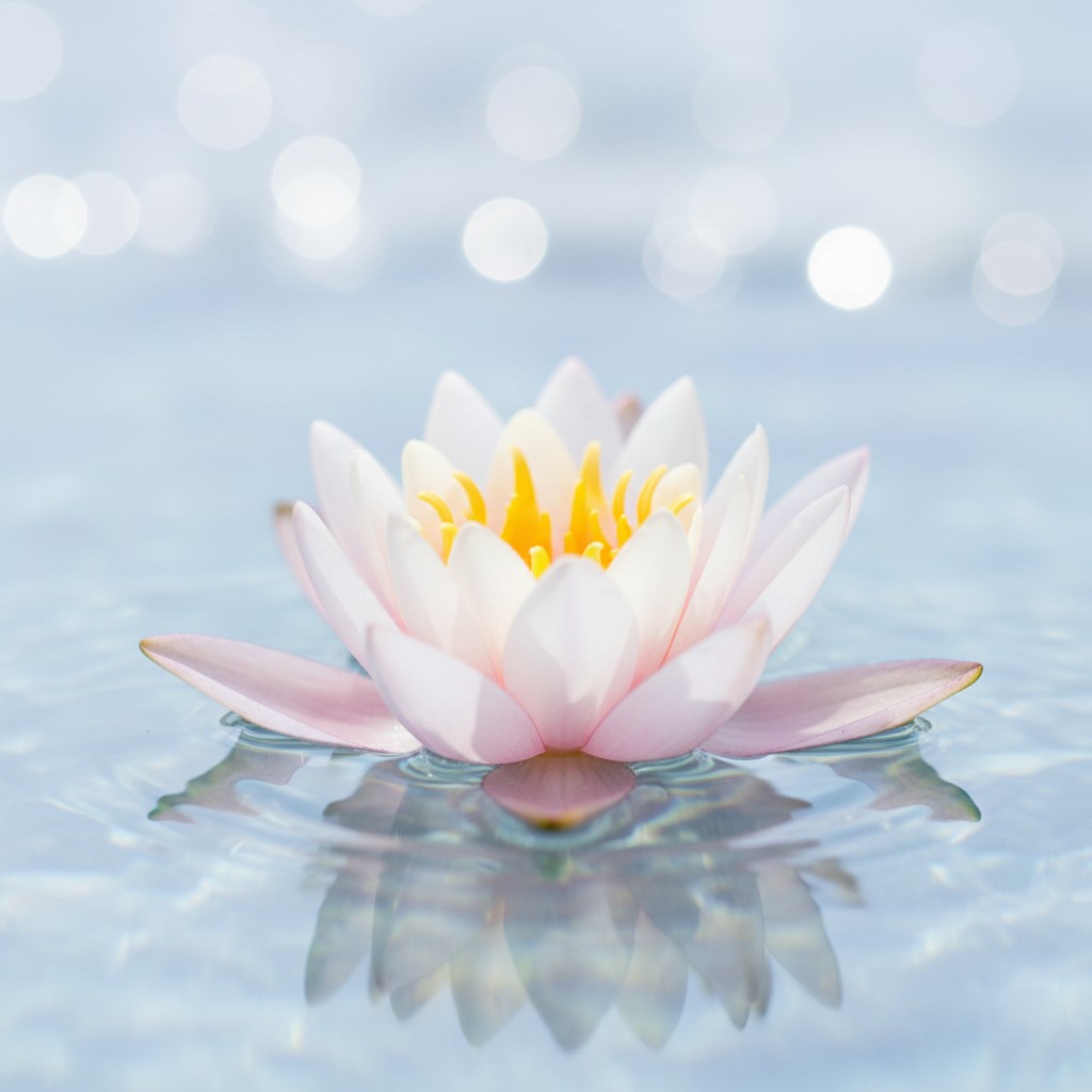 [妙音居士會員專屬圖片]